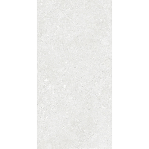 Tiles The Manly Collection Ballina Glazed Porcelain Tile Colour: Silver Pearl Matte Size: 300x600mm P3 Place & Palette