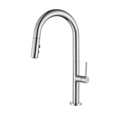 Tapware Modern National Bentlee Pull Out Kitchen Mixer Colour: Electroplated Chrome Place & Palette