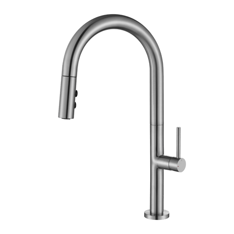 Tapware Modern National Bentlee Pull Out Kitchen Mixer Colour: Pvd Brushed Nickel Place & Palette