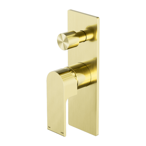 Showers Nero Bianca Shower Mixer With Divertor Colour: Brushed Gold Place & Palette