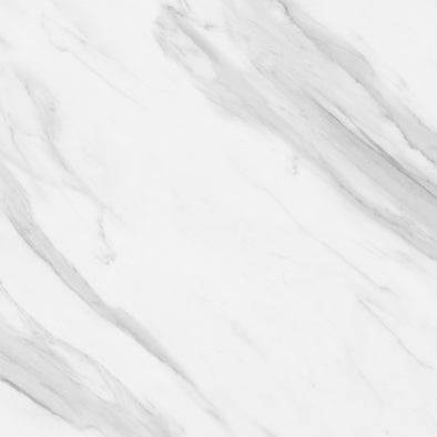 Tiles The Manly Collection Catalina Statuario Glazed Porcelain Tile Colour: White Matte Place & Palette