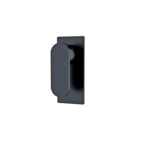 Showers Nero Ecco Shower Mixer Colour: Matte Black Place & Palette