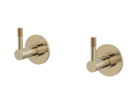 Tapware ParTaps Elm Top Assemblies Wall Pair Colour: Brushed Brass Gold Place & Palette