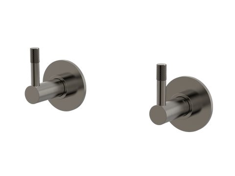 Tapware ParTaps Elm Top Assemblies Wall Pair Colour: Brushed Gunmetal Place & Palette