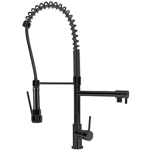 Tapware Modern National Halo Multifunction Kitchen Mixer Colour: Electroplated Matte Black Place & Palette