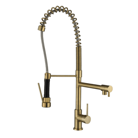 Tapware Modern National Halo Multifunction Kitchen Mixer Colour: Pvd Brushed Bronze Place & Palette