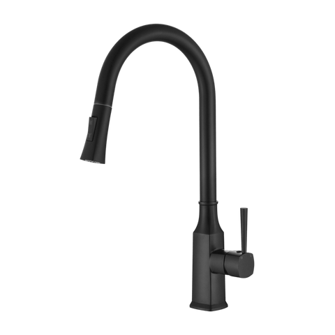 Tapware Modern National Helena Pull Out Kitchen Mixer Colour: Electroplated Matte Black Place & Palette