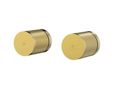 Tapware ParTaps IDK Top Assemblies Wall Pair Colour: Brushed Gold Place & Palette