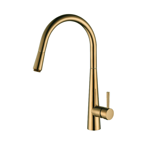 Tapware Modern National Kasper Pull Out Kitchen Mixer Colour: Pvd Brushed Bronze Place & Palette