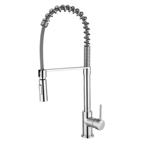 Tapware Modern National Kasper Spring Kitchen Mixer Colour: Electroplated Chrome Place & Palette
