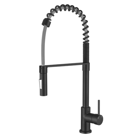 Tapware Modern National Kasper Spring Kitchen Mixer Colour: Electroplated Matte Black Place & Palette
