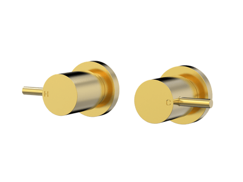 Tapware ParTaps Lugano Top Assemblies Wall Pair Colour: Brushed Gold Place & Palette