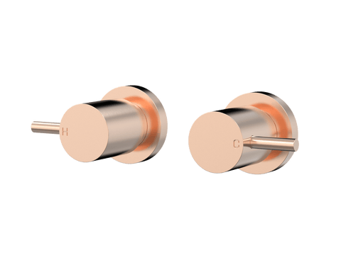 Tapware ParTaps Lugano Top Assemblies Wall Pair Colour: Brushed Rose Gold Place & Palette