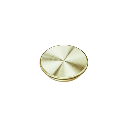 Accessories Nero Mecca Care 32mm Grab Rail Cap Colour: Brushed Gold Place & Palette