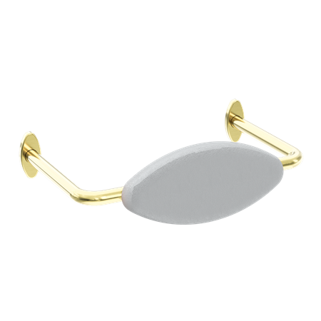 Accessories Nero Mecca Care DDA Toilet Backrest Colour: Brushed Gold Place & Palette