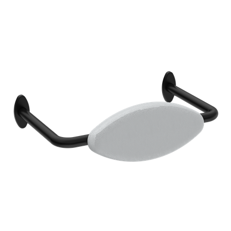 Accessories Nero Mecca Care DDA Toilet Backrest Colour: Matte Black Place & Palette