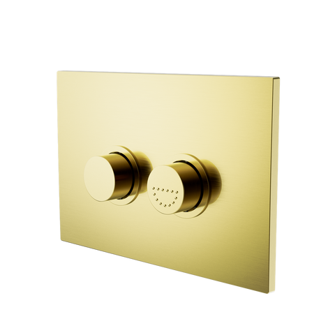 Raised Disabled Care Pneumatic Flush Buttons Plate DDA Compliant - Place & Palette