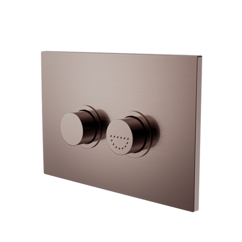 Raised Disabled Care Pneumatic Flush Buttons Plate DDA Compliant - Place & Palette
