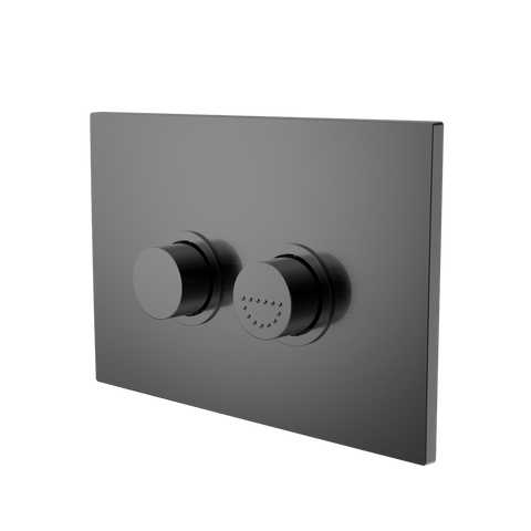 Raised Disabled Care Pneumatic Flush Buttons Plate DDA Compliant - Place & Palette