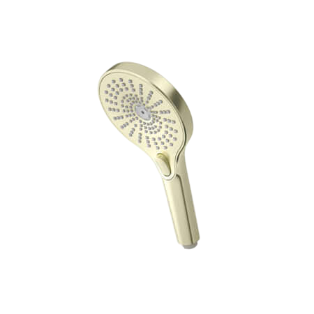 Showers Nero Opal Hand Shower Colour: Brushed Gold Place & Palette