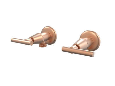Tapware ParTaps Portsea Washing Machine Stops Wall Pair Colour: Brushed Copper Style: Lever Ceramic Disc Place & Palette