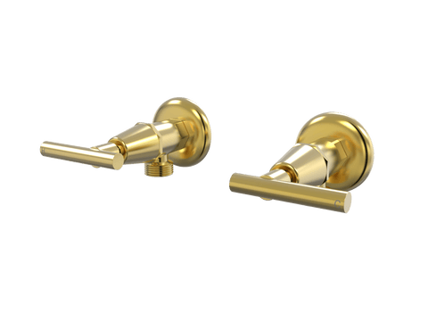 Tapware ParTaps Portsea Washing Machine Stops Wall Pair Colour: Brushed Gold Style: Lever Ceramic Disc Place & Palette