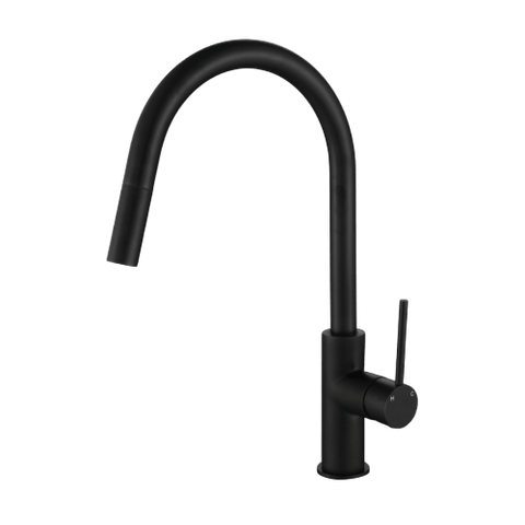 Tapware Modern National Star Mini Kitchen Mixer Colour: Electroplated Matte Black Style: Standard Place & Palette