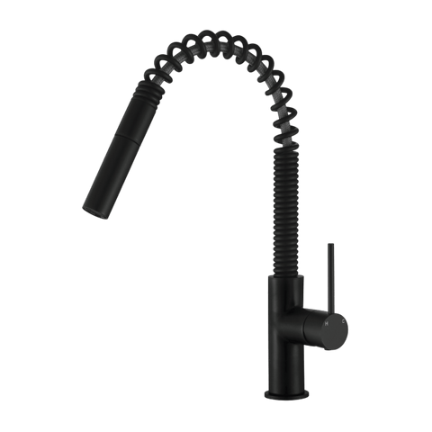 Tapware Modern National Star Mini Spring Kitchen Mixer Colour: Electroplated Matte Black Place & Palette