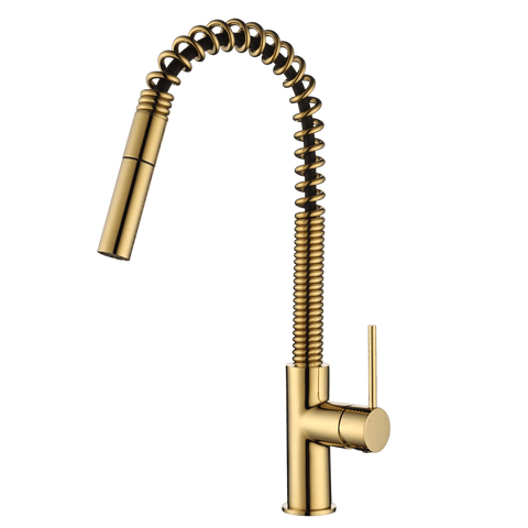 Tapware Modern National Star Mini Spring Kitchen Mixer Colour: Pvd Polished Brass Place & Palette