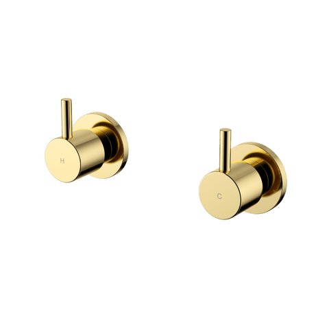 Tapware Modern National Star Mini Wall Top Assemblies Style: Standard Colour: Pvd Polished Brass Place & Palette