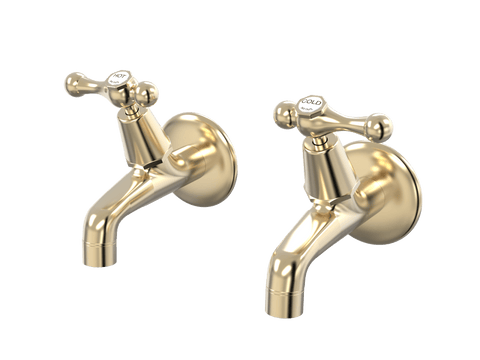 Tapware ParTaps Tudor Lever Female Bibs Wall Pair - Ceramic Disc Colour: Brushed Brass Gold Place & Palette