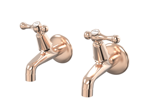 Tapware ParTaps Tudor Lever Female Bibs Wall Pair - Ceramic Disc Colour: Brushed Rose Gold Place & Palette