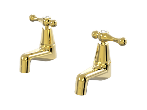 Tapware ParTaps Tudor Lever Pillar Taps Pair - Ceramic Disc Colour: Gold Place & Palette