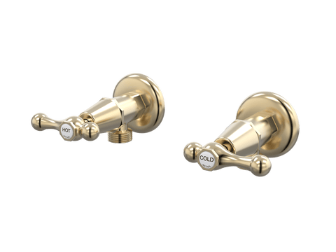 Tapware ParTaps Tudor Lever Washing Machine Stops Wall Pair - Ceramic Disc Colour: Brushed Brass Gold Place & Palette