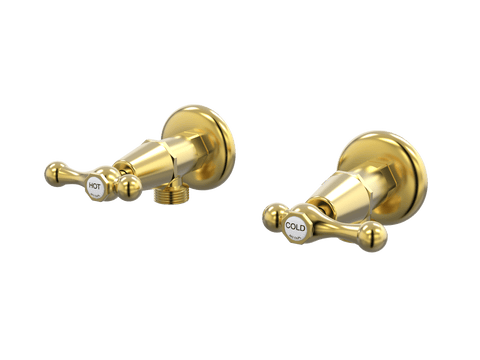 Tapware ParTaps Tudor Lever Washing Machine Stops Wall Pair - Ceramic Disc Colour: Brushed Gold Place & Palette