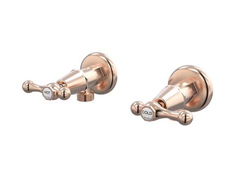 Tapware ParTaps Tudor Lever Washing Machine Stops Wall Pair - Ceramic Disc Colour: Brushed Rose Gold Place & Palette