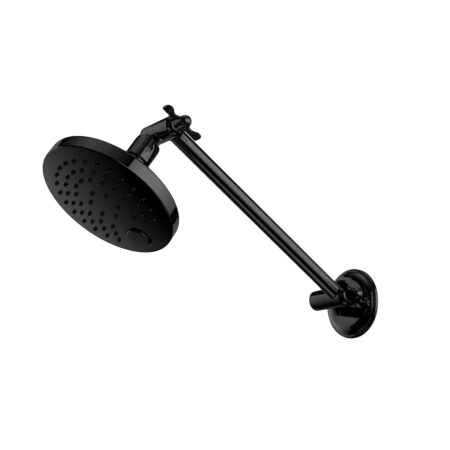 Showers Nero X Plus All Direction Shower Head Colour: Matte Black Place & Palette