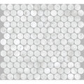 Tiles The Manly Collection Artemis Penny Round Honed Marble Tile Colour: Carrara White Place & Palette