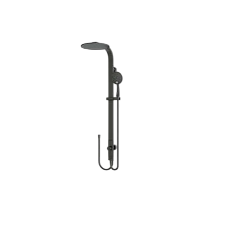 Showers Nero Astra Rain Round Twin Shower Double Hose Colour: Matte Black Place & Palette