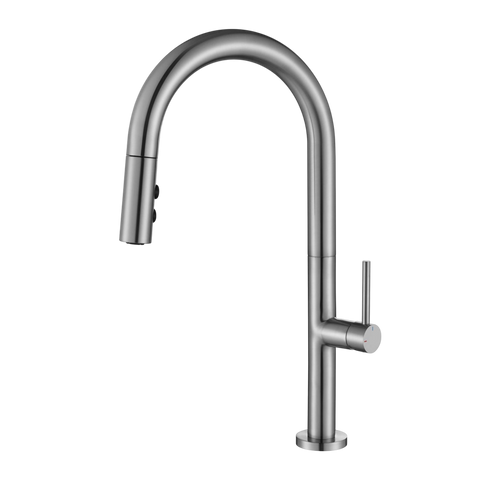 Tapware Modern National Bentlee Pull Out Kitchen Mixer Colour: Pvd Brushed Nickel Place & Palette