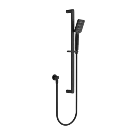 Showers Nero Bianca Shower Rail Colour: Matte Black Place & Palette