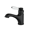 Tapware Modern National Bordeaux Basin Mixer Colour: Electroplated Matte Black Style: Standard Place & Palette