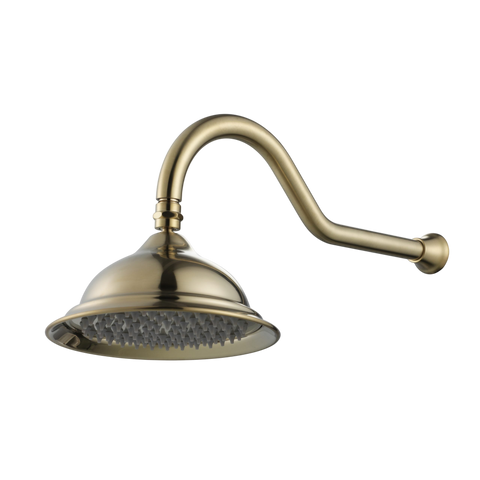 Showers Modern National Bordeaux Shower Arm & Head Colour: Pvd Brushed Bronze Place & Palette