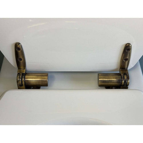 Toilets Turner Hastings Claremont Floor Mounted Pan Toilet with Soft Close Seat and Pan Bend Hinges: Chrome Hinges Place & Palette