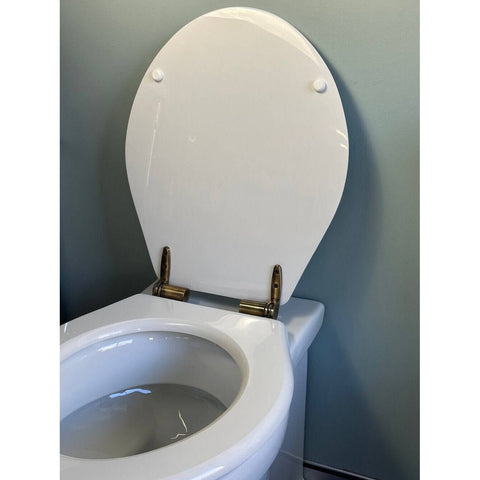 Toilets Turner Hastings Claremont Floor Mounted Pan Toilet with Soft Close Seat and Pan Bend Hinges: Chrome Hinges Place & Palette