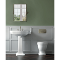 Claremont Flush Plate-Toilets-Turner Hastings-place-and-palette