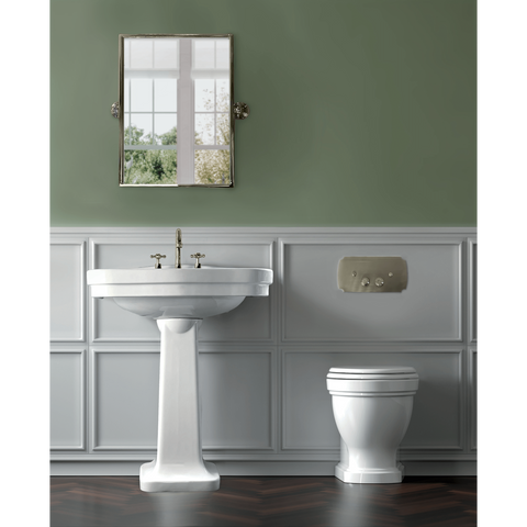 Claremont Flush Plate-Toilets-Turner Hastings-place-and-palette