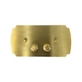 Claremont Flush Plate-Toilets-Turner Hastings-Brushed Brass-place-and-palette