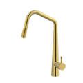 Tapware ParTaps Elm Sink Pull-Out Mixer Colour: Gold Place & Palette