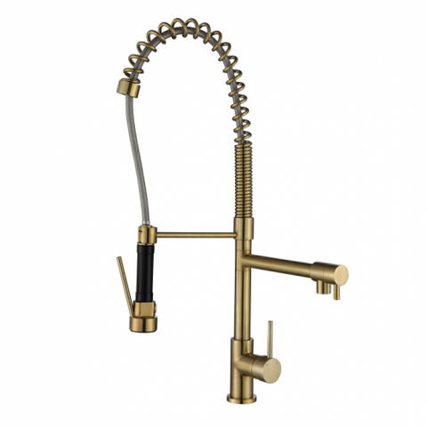 Tapware Modern National Halo Multifunction Kitchen Mixer Colour: Pvd Brushed Bronze Place & Palette